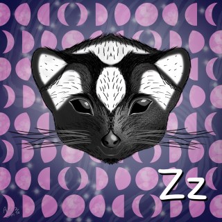 Are You Seeking Security or Adventure? (Featuring the Zorilla)